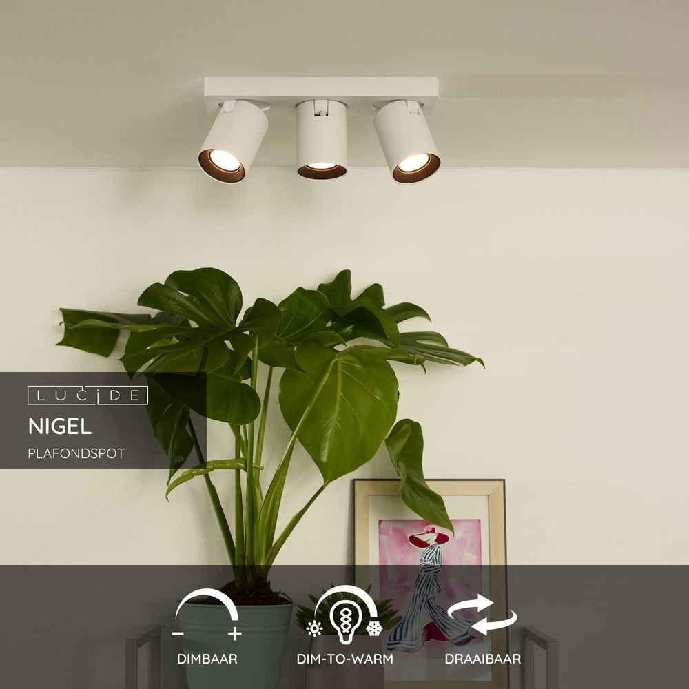 Lucide NIGEL foco LED de techo, 3x5W GU10 regulable de cálido 2200K-3000K, orientable aluminio Blanco, IP20