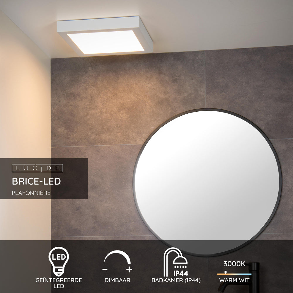 Lucide BRICE plafón LED de baño, regulable 30W 3000K, IP44, Blanco, diseño cuadrado moderno