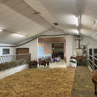 Ledvance LED damp proof luminaire 1500mm 50W 4000K 6500 lumens IP67 IK06 Cool White surface mount