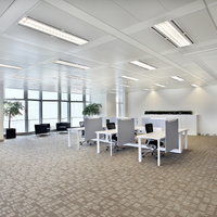 Philips MAS LEDtube HF T8 1200mm 14W 3000K 2000 lúmenes Opal G13 HO Tubo de Ahorro de Energía