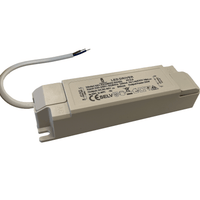 Controlador de panel LED Tsong 40w 27-42v 1000ma no regulable
