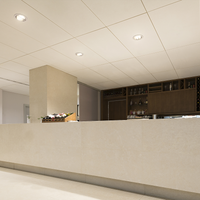 Philips CorePro LED PLL 16.5W 3000K 2000 lúmenes 2G11 4P EM lámpara de sustitución para red eléctrica, 220-240V no regulable