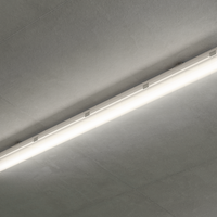 Philips CoreLine WT120C G2 luz LED estanca, 30.5W 4000K 4000 lúmenes, regulable DALI, IP65 IK08, 1215mm Gris