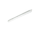 Philips CoreLine WT120C G2 luz LED estanca, 30.5W 4000K 4000 lúmenes, regulable DALI, IP65 IK08, 1215mm Gris