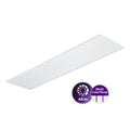 Panel LED Philips Ledinaire RC065B G5 28W 3000K/3500K/4000K 3400-3600 lúmenes 1195x295mm UGR19 Blanco IP20