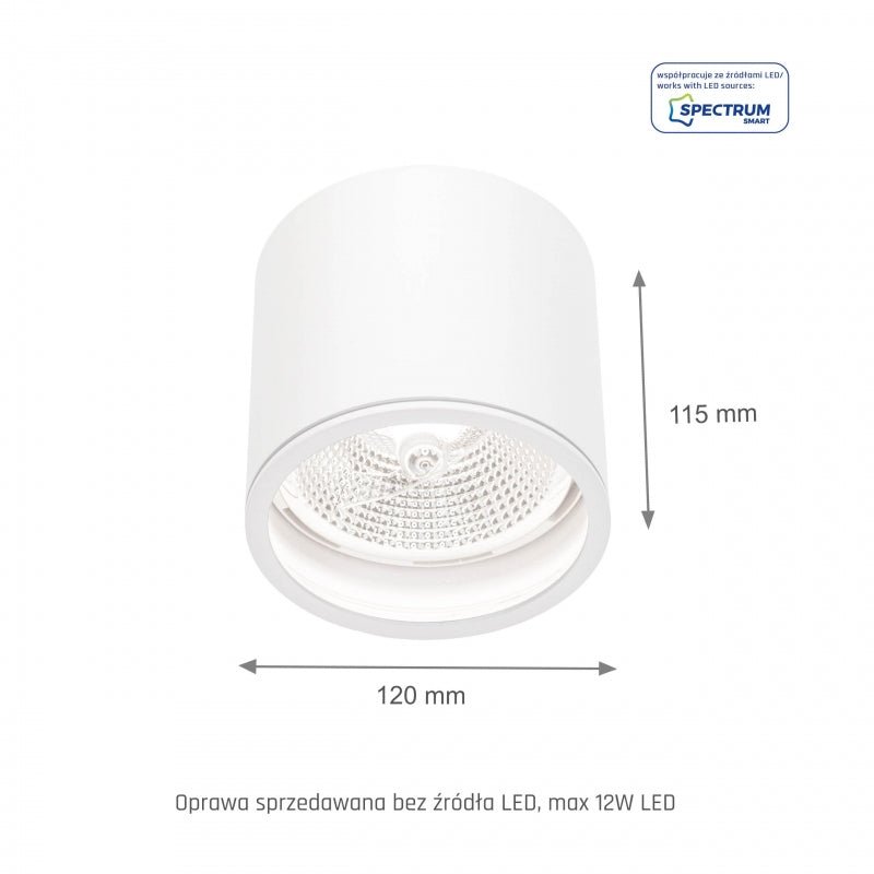 Chloe AR111 GU10 IP65 foco LED redondo para exteriores e interiores lámpara Spectrum carcasa blanca 17000 horas 250V 120-115 mm