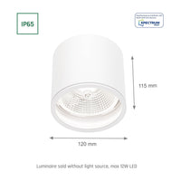 Chloe AR111 GU10 IP65 foco LED redondo para exteriores e interiores lámpara Spectrum carcasa blanca 17000 horas 250V 120-115 mm
