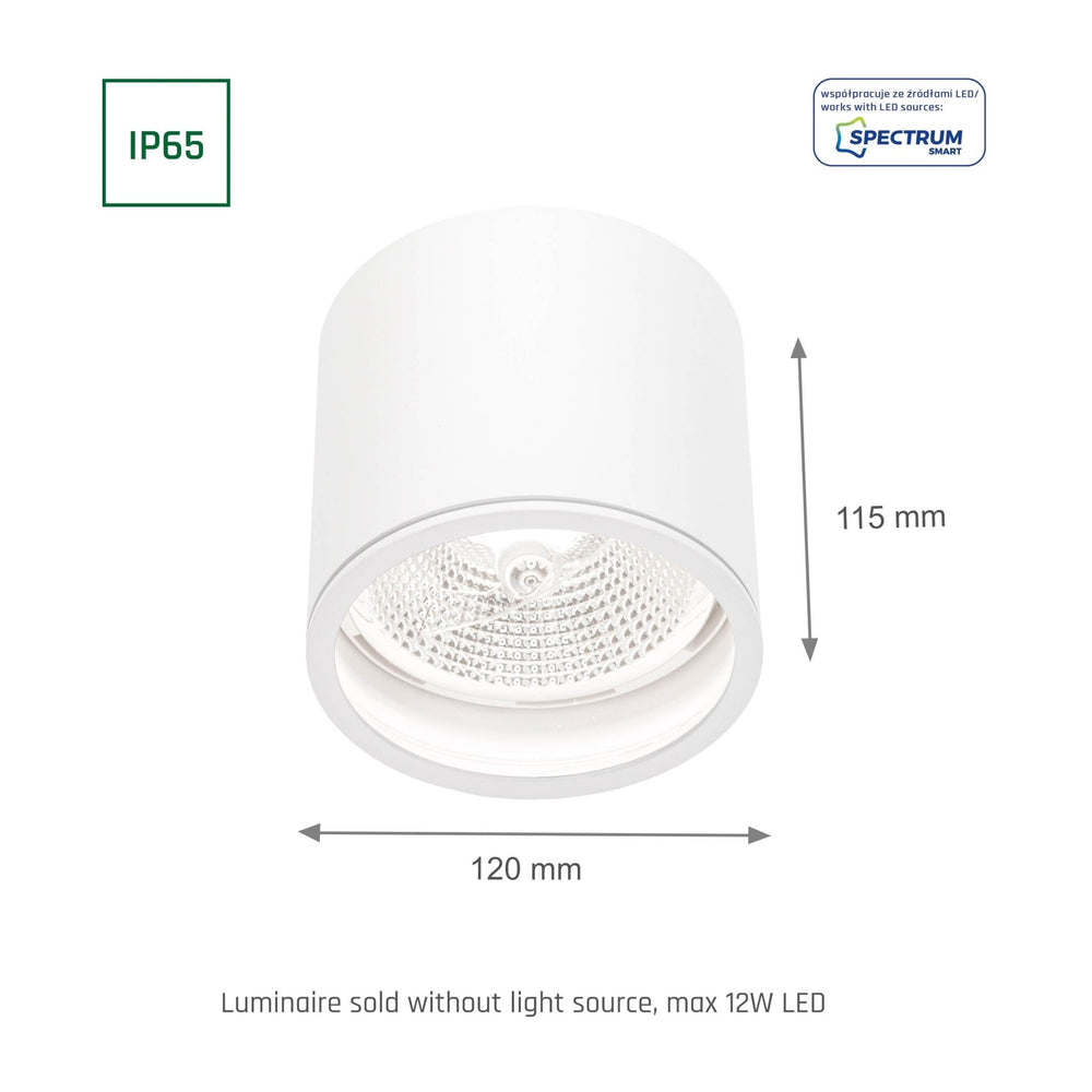 Chloe AR111 GU10 IP65 foco LED redondo para exteriores e interiores lámpara Spectrum carcasa blanca 17000 horas 250V 120-115 mm